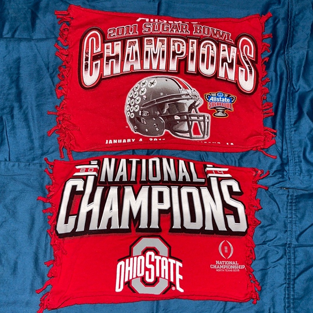 Ohio State crop top